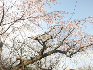150323_145759.jpg