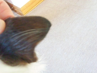 150324_081454.jpg