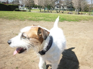 150326_103850.jpg