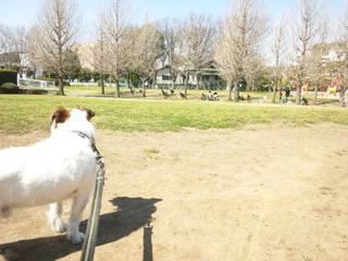 150326_103845.jpg