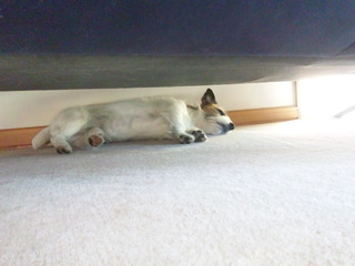 150330_085941.jpg