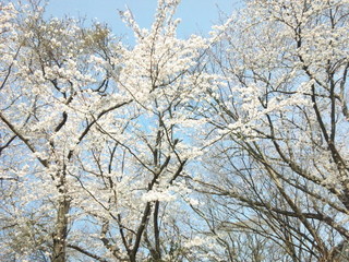 150330_142510.jpg