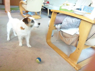 150422_161554.jpg