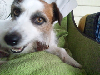 150430_153508.jpg