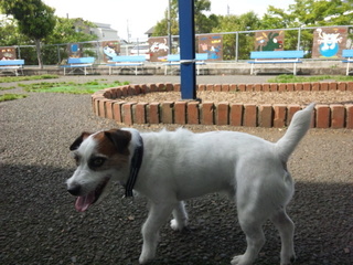 150522_142415.jpg