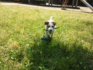 150601_130820.jpg