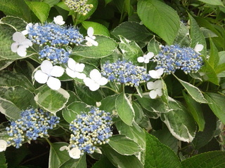 150602_135354.jpg