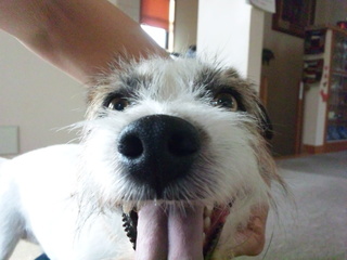 150622_164654.jpg
