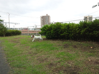 150627_143840.jpg