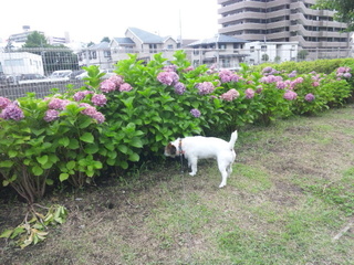 150627_143912.jpg