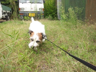 150924_120255.jpg