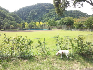 150929_103231.jpg