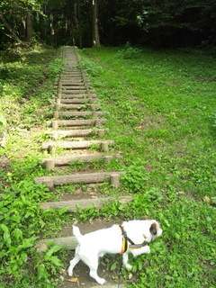 150929_103513.jpg