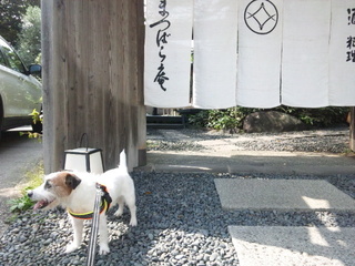 150929_114619.jpg